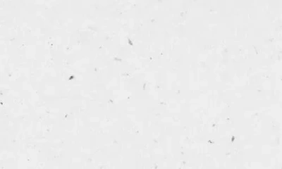 Henry Rose The Playdate: Warm Fragrance Set $90 Value In Transparent