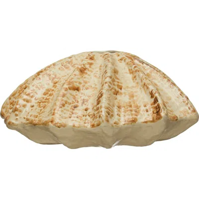 Storied Home Stoneware Shell-shaped Vase With Reactive Glaze In Neutral