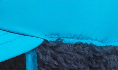 The North Face Kids' Shasta Trapper Cap In Blue