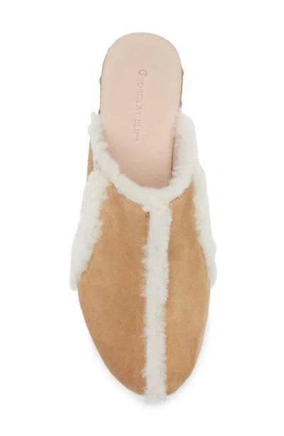 Chocolat Blu Greer Genuine Shearling Platform Clog In Multi