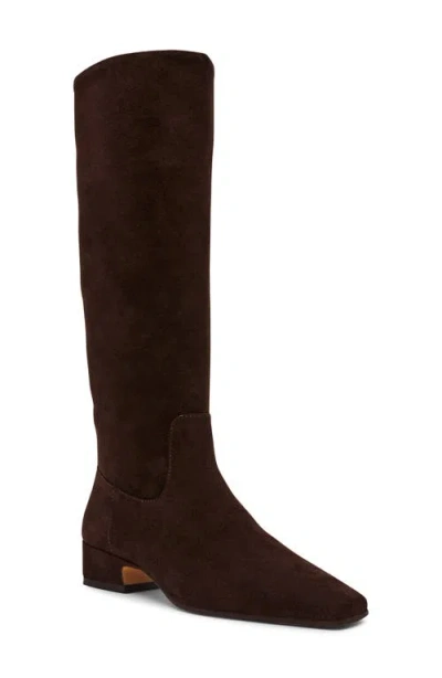 Steve Madden Women's Dantelle Square-toe Knee High Boots In Brown