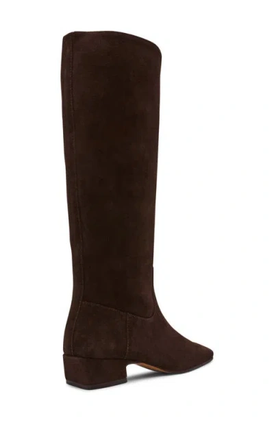 Steve Madden Women's Dantelle Square-toe Knee High Boots In Brown