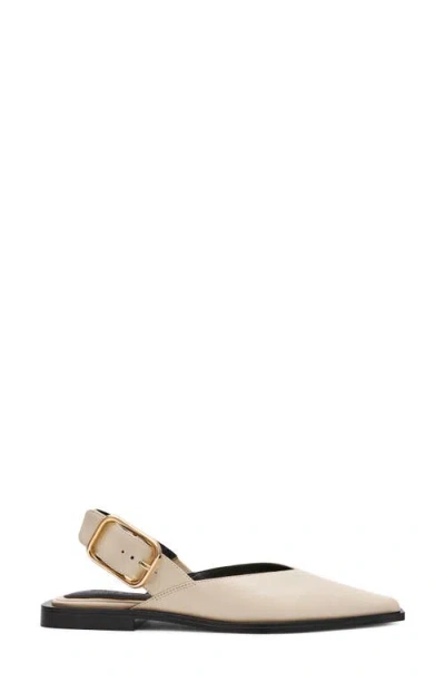 Steve Madden Shay Pointed Toe Slingback Flat In Multi