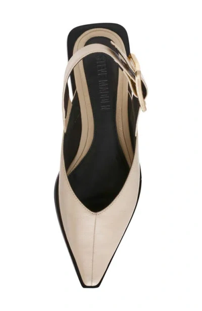 Steve Madden Shay Pointed Toe Slingback Flat In Multi