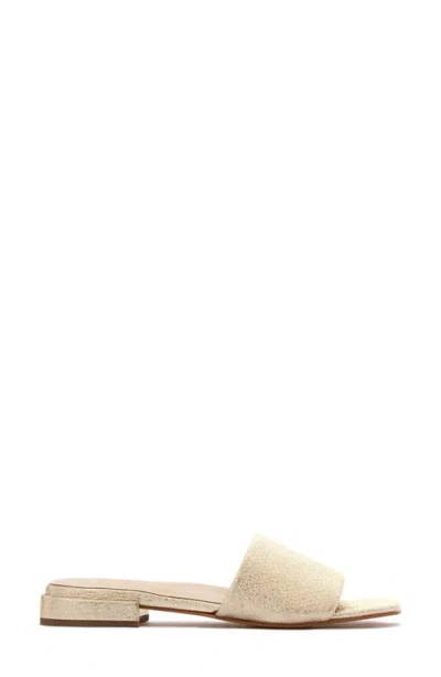 Frankie4 Aniston Slide Sandal In Multi