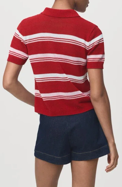 Mango Stripe Short Sleeve Polo Sweater In Red