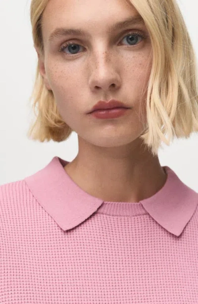 Mango Spread Collar Short Sleeve Sweater In Pink
