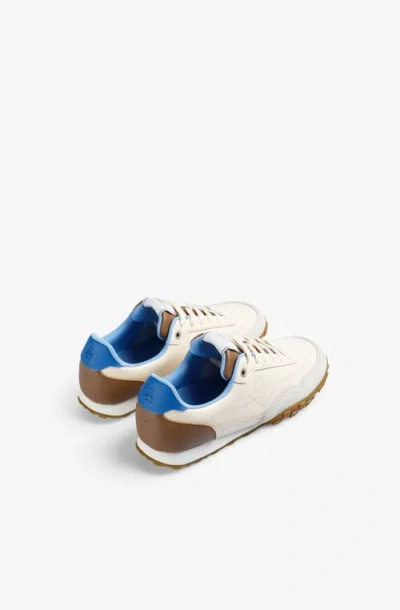 Scalpers Dach Sneakers W I In Multi