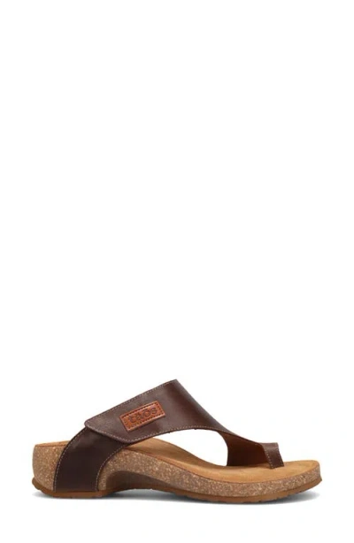 Taos Loop Toe Loop Sandal In Brown