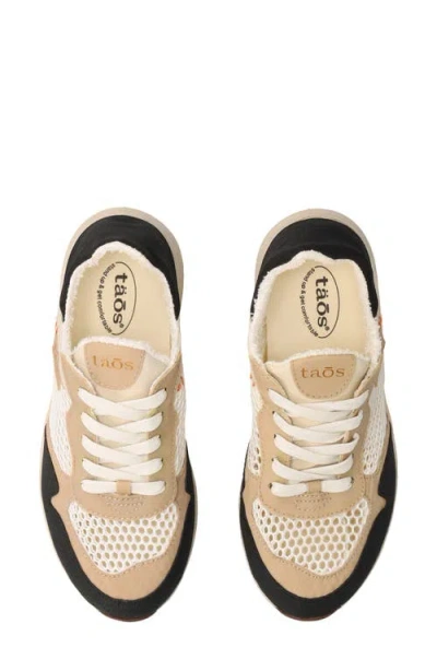 Taos Direction Sneaker In Neutral