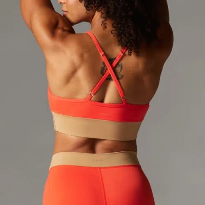 Tavi Boost Bra In Orange