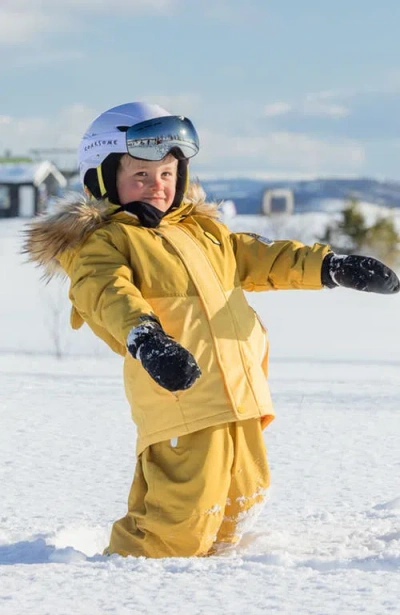 Roarsome Ski Goggles In Silver
