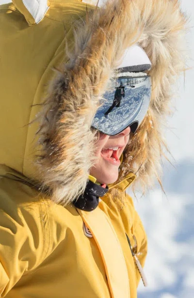 Roarsome Ski Goggles In Silver