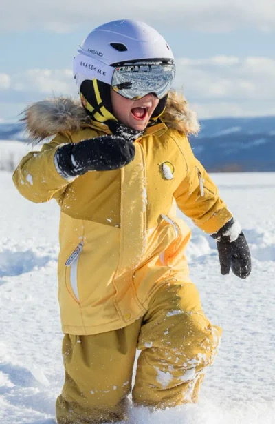 Roarsome Ski Goggles In Silver