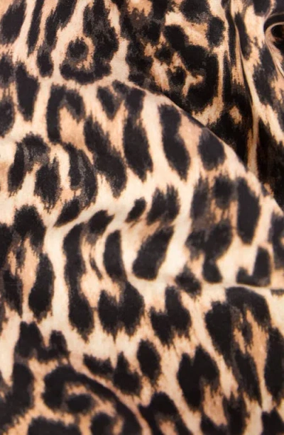 Cache Coeur Roxane Low Waist Maternity Shorts In Multi