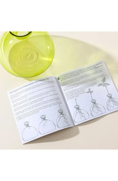 Ilex Studio Avocado Vase In Multi