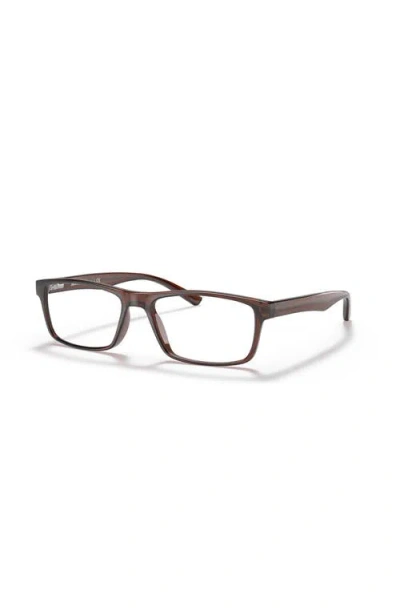 Sferoflex 56mm Rectangle Optical Glasses In Brown