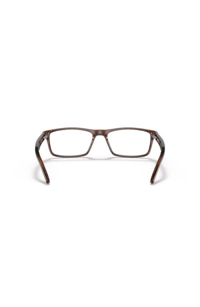 Sferoflex 56mm Rectangle Optical Glasses In Brown