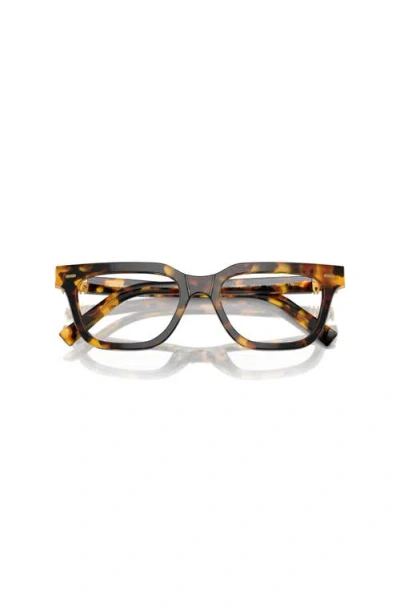 Miu Miu 53mm Rectangle Optical Glasses In Brown