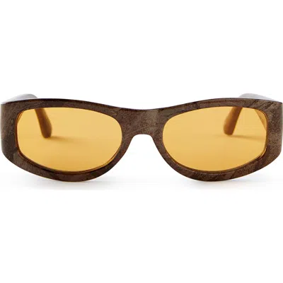 Cotton On The 4x4 Sunglasses In Brown
