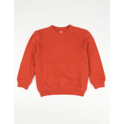 Leveret Kids Pullover Sweatshirt, Long Sleeve, Solid Colors In Brown