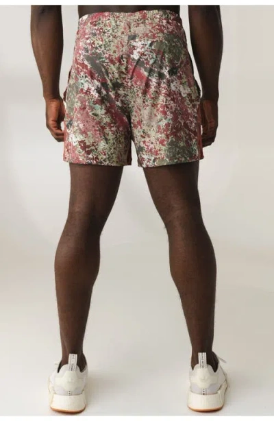 Vitality Prime Train Short 6" In Brown