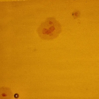 Pre-owned Goyard  Goyard Saigon Top Handle Bag Coated Canvas With Leather Mm In Yellow