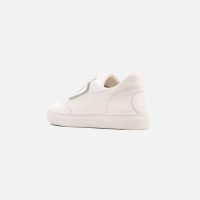 Fini Bold White Sneaker In White