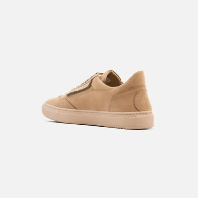 Fini Bold Desert Sneaker In Brown