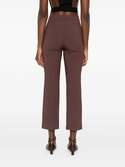 Elisabetta Franchi Cropped Brown Straight-leg Trousers With High Waist In Multi