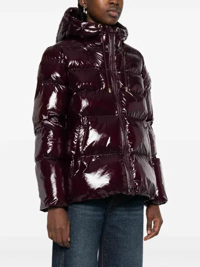 Pinko Quilted Hooded Jacket In Brown
