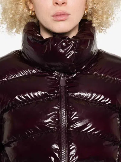 Pinko Cropped High Collar Burgundy Coat With Glossy Finish In Brown