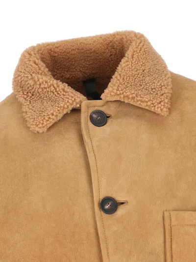 Tagliatore Jackets In Neutral