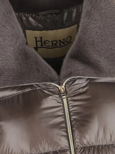 Herno Coats In Brown