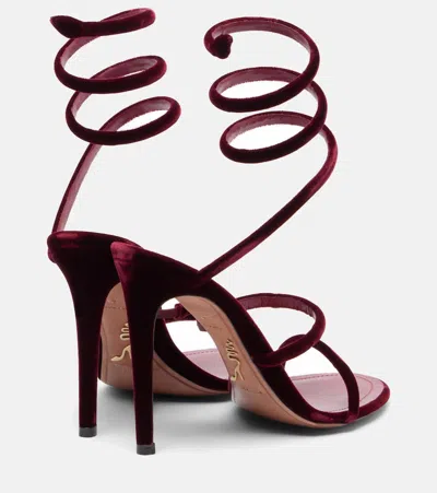 René Caovilla Spiral Design Velvet Heels With Ankle Wrap In Burgundy