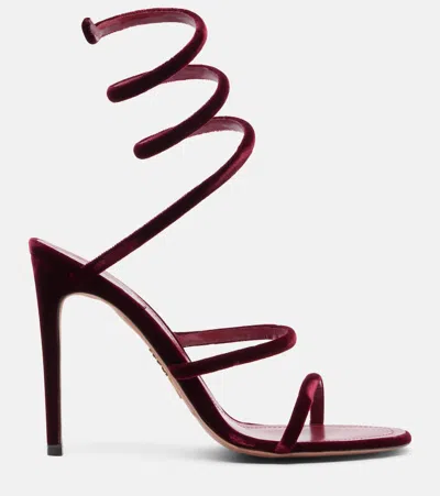 René Caovilla Spiral Design Velvet Heels With Ankle Wrap In Burgundy