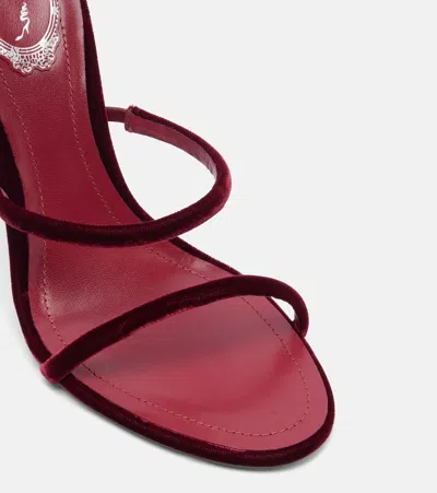 René Caovilla Spiral Design Velvet Heels With Ankle Wrap In Burgundy
