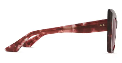 Dita Sunglasses In Brown