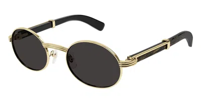 Cartier Sunglasses In Black