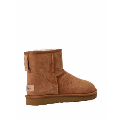 Ugg Brown Boots In Brown