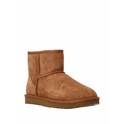 Ugg Brown Boots In Brown