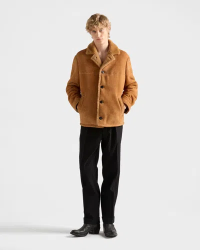 Prada Shearling Coat In Brown