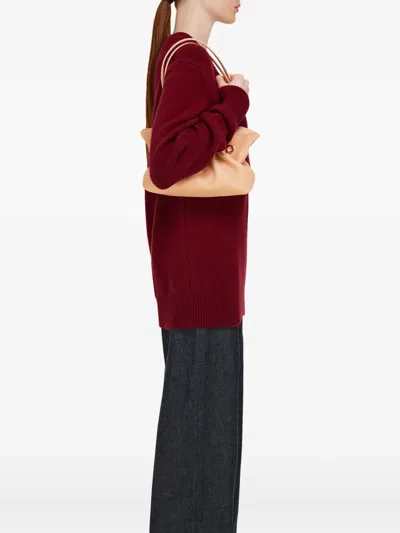 Ferragamo Pink Crossbody Bag With Chain-link Handle And Gancini Plaque On The Front In Neutral