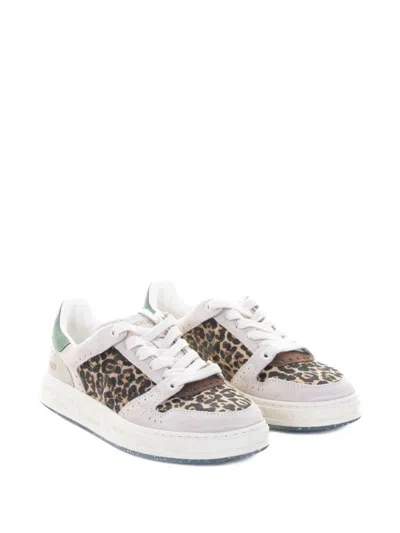 Premiata Quinn D 7647 Spotted Sneaker In Multi