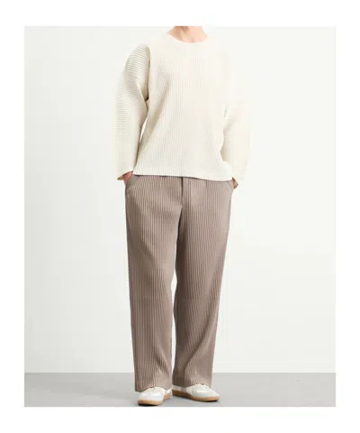 Issey Miyake Pleated Tailored Trousers In Brown