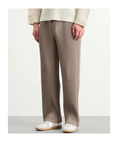 Issey Miyake Pleated Tailored Trousers In Brown