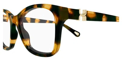 Chloé Full-frame Plain Mirror In Brown