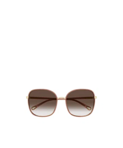 Chloé Box Logo Sunglasses In Black
