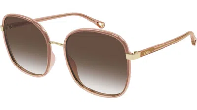 Chloé Box Logo Sunglasses In Black