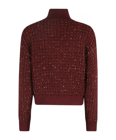 Elisabetta Franchi Cable-knit Tricot Sweater With Sequined Inserts In Burgundy